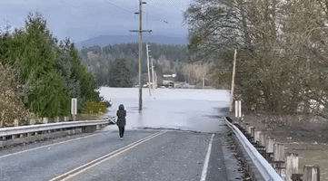 Washington Road Flooded as Skagit River Swells After Heavy Rainfall