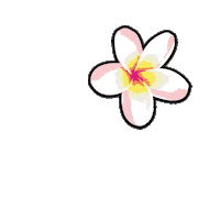 Flower Shoebyxnicolette Sticker by Shoeby