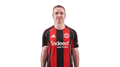Eintracht Frankfurt Thumbs Up Sticker by Bundesliga