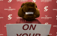 Santa Clara University Go Broncos GIF by Santa Clara Broncos