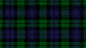 School College GIF by Carpisa