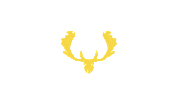 Rugby Teddington Sticker by Antlers