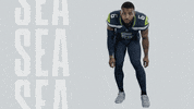 American Football GIF by Seattle Seahawks