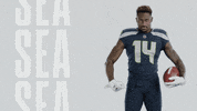American Football GIF by Seattle Seahawks