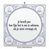 Humor Nl GIF by Tegelspreuken.nl