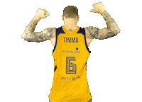 Janis Timma Sport Sticker by Anna Sedokova