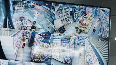 Cattura Visualpoetry GIF by CATTURAProduction