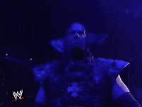 the undertaker wrestling GIF by WWE
