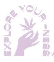 Fun Lol Sticker by BZAM