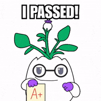 Proud A Plus GIF by Magic Eden