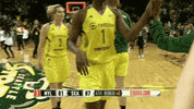 happy seattle storm GIF by WNBA