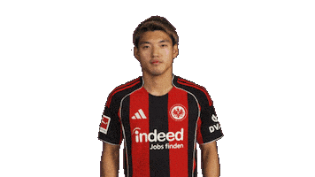 Eintracht Frankfurt Sticker by Bundesliga