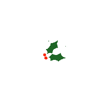 Christmas Holly Sticker
