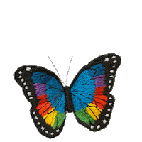 Arco Iris Rainbow Sticker by bemmimosa