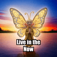 Buddhafly Character GIF by BuddhaFlyJourney
