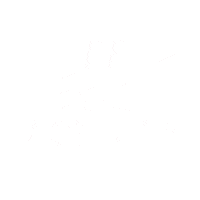 Ef Education First Sticker by efmoment