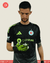 Chicago Fire Phone GIF by Chicago Fire Football Club