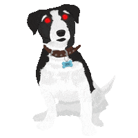 amazon dog Sticker by Good Omens