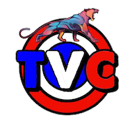teamvolleycazzago Sticker by PROMOBALL