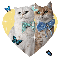 Pretty In Blue Sticker