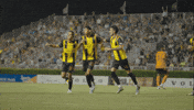 Black And Yellow Soccer GIF by Charleston Battery