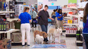 nbc dogs GIF by Superstore