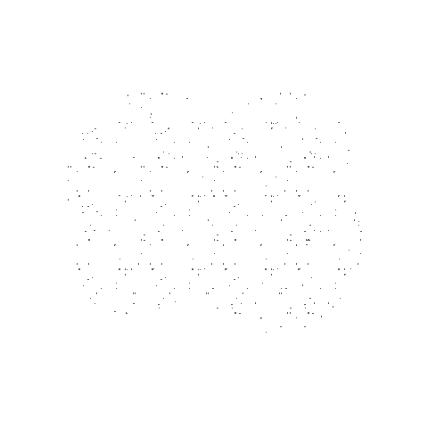 Filter Effect Sticker