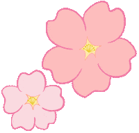 Cherry Blossom 桜 Sticker