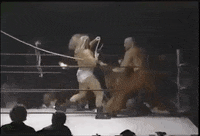 kevin sullivan wrestling GIF