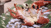 viceland GIF by MOST EXPENSIVEST