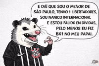 Copa Do Brasil Santos GIF