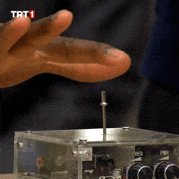 Electric Shock Love GIF by TRT
