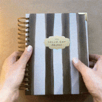 GIF by Hello Day