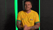 World Cup Sport GIF by Football Australia