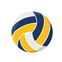 westerwald_volleys www ball Sticker