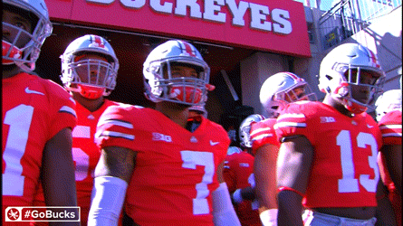 Ncaa Sports GIF by Ohio State Athletics