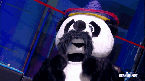 Mexico Panda GIF by Satisfaction Group
