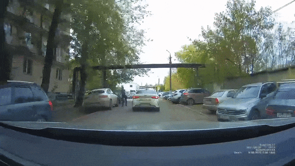 vladyko giphyupload GIF