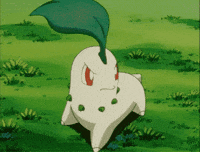 Angry Leaf GIF by Pokémon
