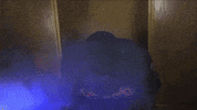 floflamingos hot pink floflamingos florence flamingos summer baseball GIF