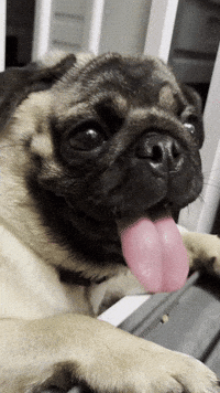Stressed Awkward Moment GIF