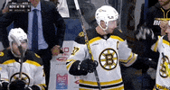 Ice Hockey Hug GIF by NHL