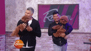 dog dress up GIF by Rachael Ray Show