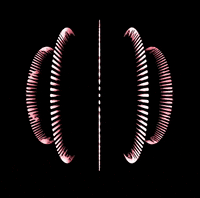 Animation Edm GIF by The3Flamingos
