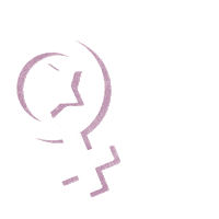 star feminism Sticker by Junge Linke