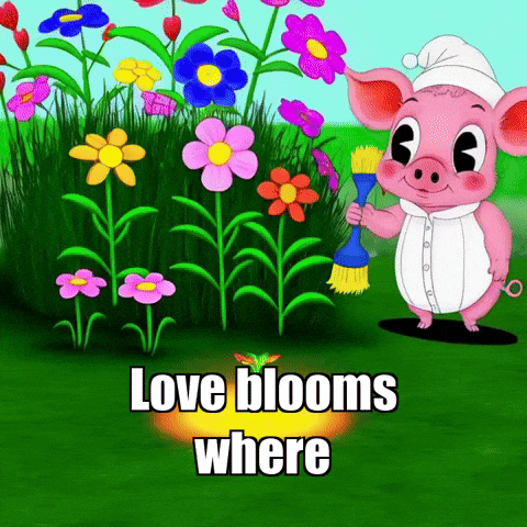 Harmony Love GIF by The Pigasso
