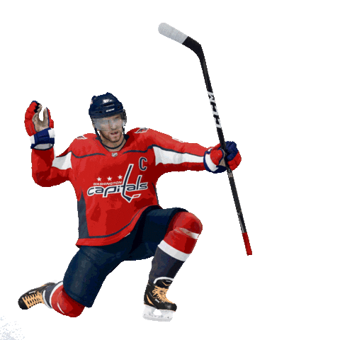 Stanley Cup Playoffs Celebration Sticker by EASPORTSNHL