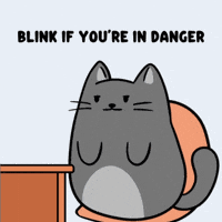 Awkward Help Me GIF by MESA My Emotional Support Animal