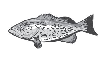 Fishing Gag Sticker by Put Me Outside