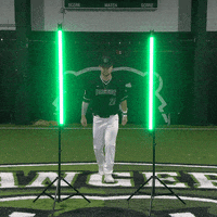 Parkside Baseball GIF by Parkside Athletics